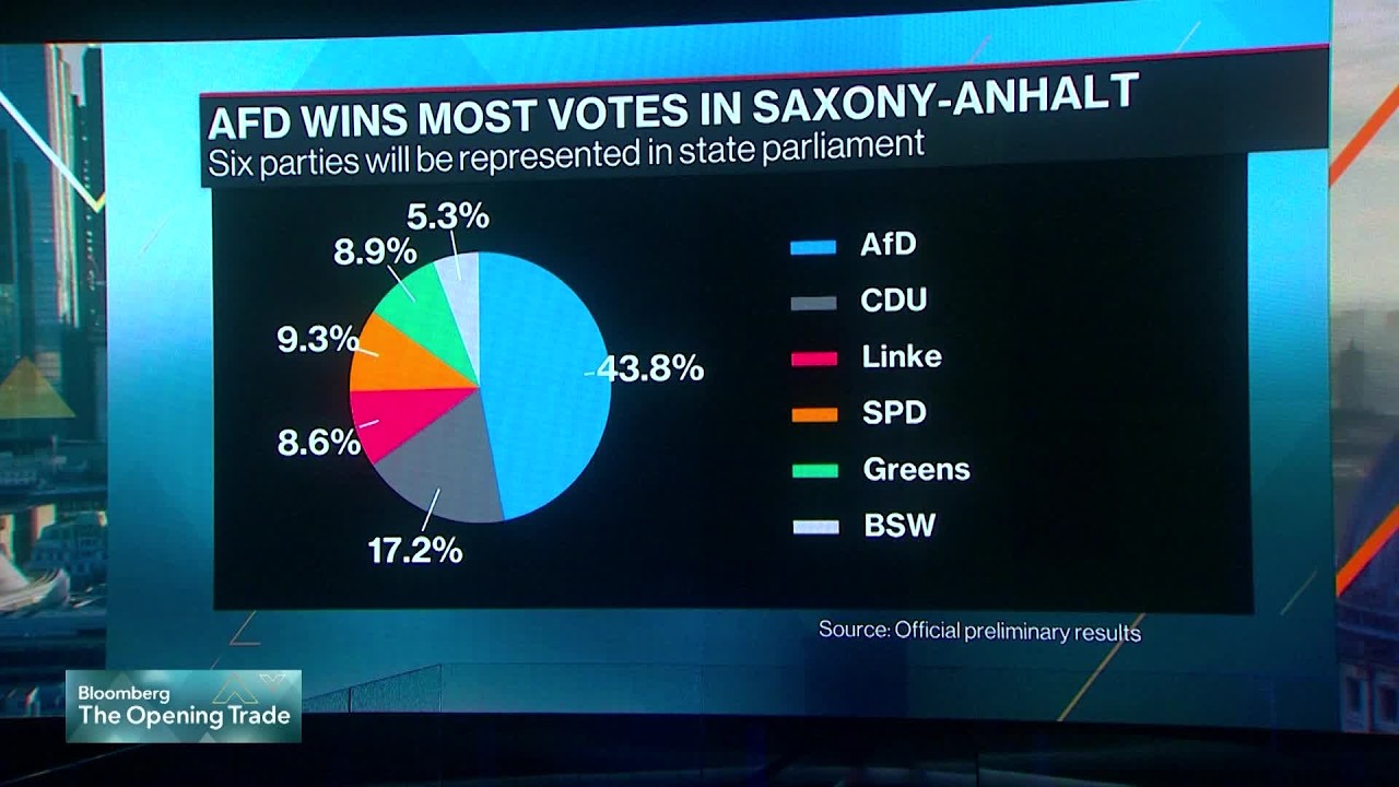Germany's AfD Scores Best-Ever Result in State Election