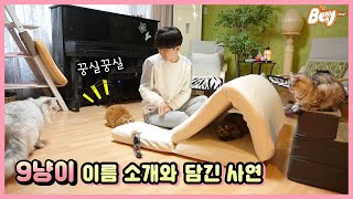 (ENG sub) Stories of my 9 cats' names [Benny Family]