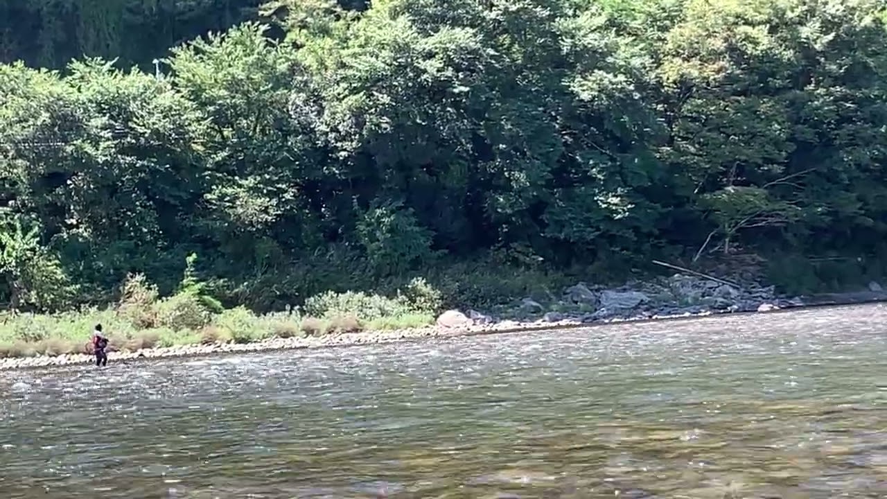 2025年8月31日　長良川鮎ルアー　鵜飼大橋～金華橋