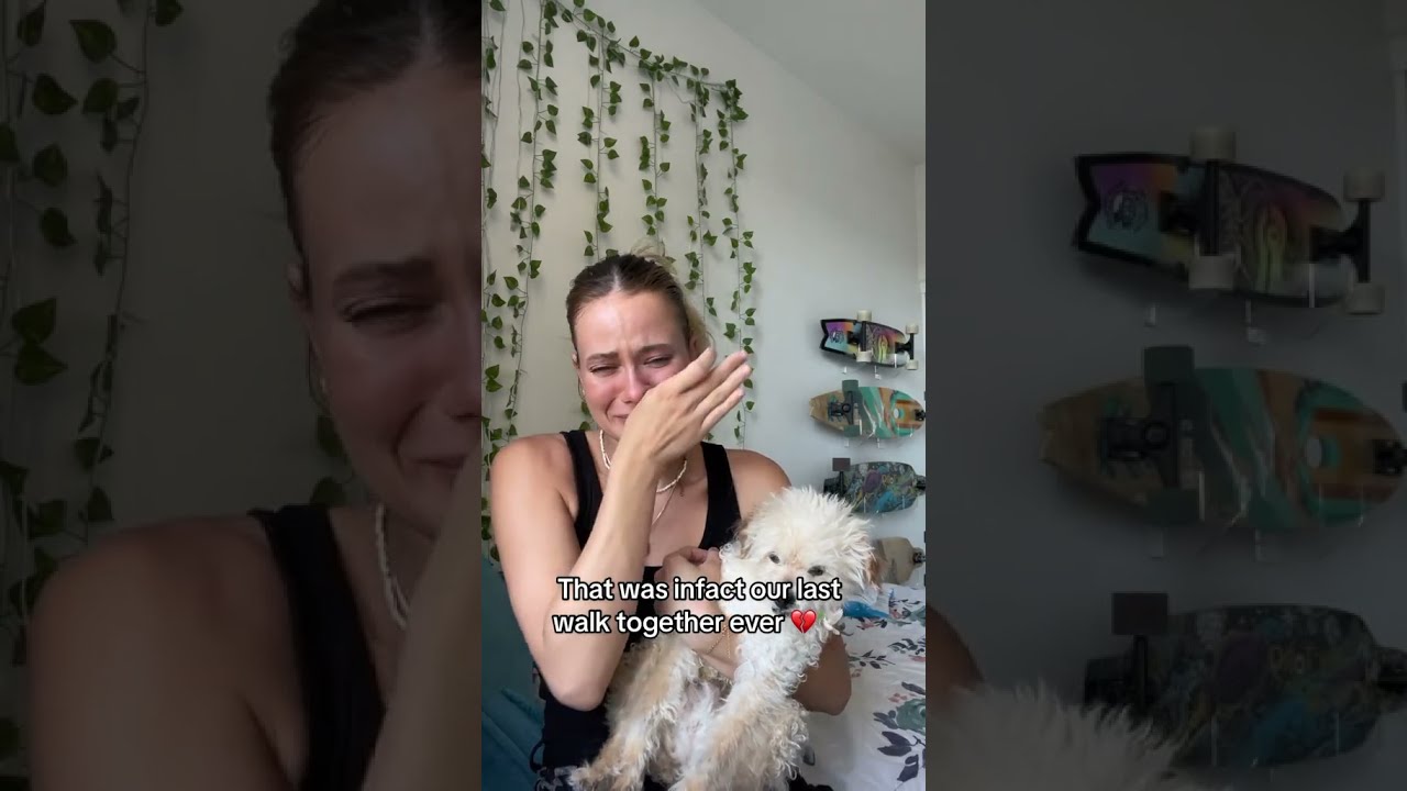I Dreamed Of Clover Last Night Petloss Petgrief Dog Doglovers Dogmom