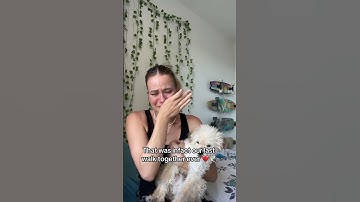 Thumbnail of I dreamed of Clover last night #petloss #petgrief #dog #doglovers #dogmom
