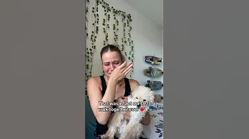 I Dreamed Of Clover Last Night Petloss Petgrief Dog Doglovers Dogmom 