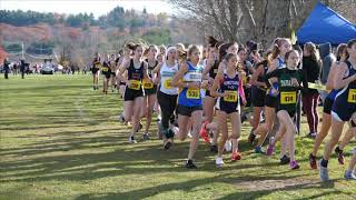 Girls start & First Loop MIAA Division 2 C Cross Country Championship 2021.