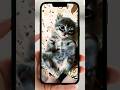 "The Adventures of Whiskers: A Purrfectly Hilarious Tale!" #shorts #cats #funny