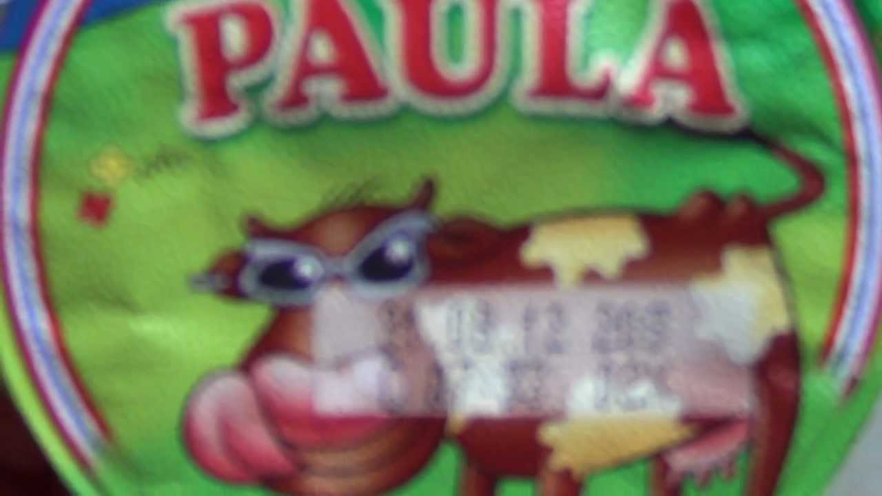 Paula Dr Oetker Schokoladen Pudding Mit Vanille Flecken Youtube