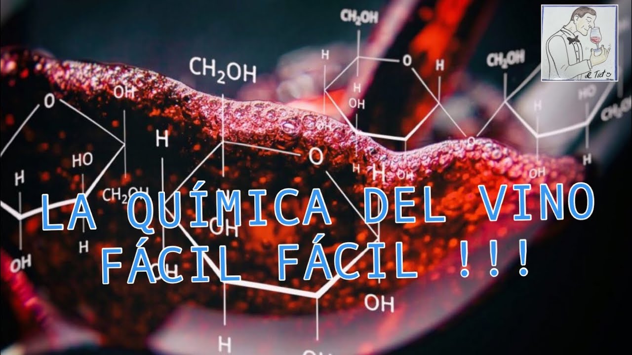 (73) LA QUÍMICA DEL VINO, FACIL FACIL !!!