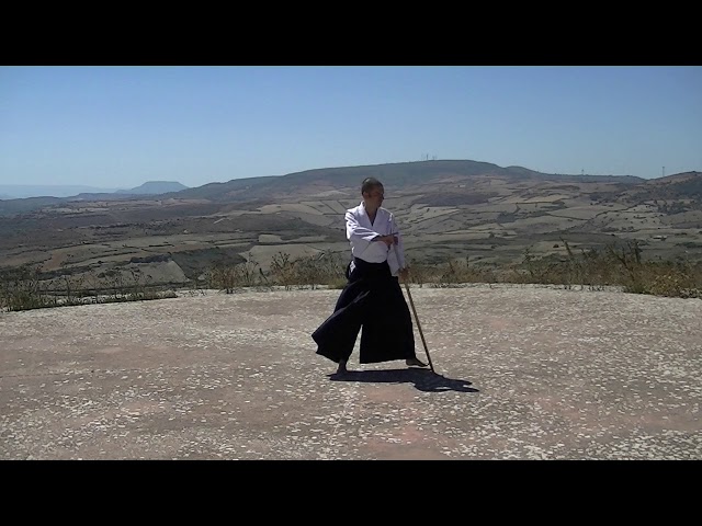 02 Kaeshi Tsuki - Aikido Novum Experience - Jo Suburi Nijuppon - Tsuki Gohon - 返し突き - 合気道 - 杖素振り20本