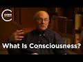 Warren brown  what is consciousness
