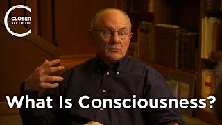Warren Brown  What Is Consciousness?