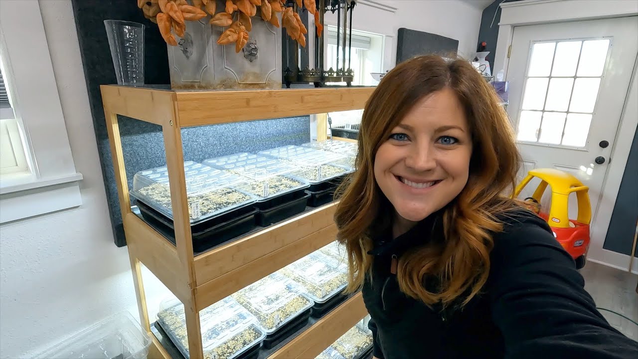 Выращиваем семена морозостойких многолетников и сажаем салатную зелень в теплице! 🌿🙌💚 // Garden A...