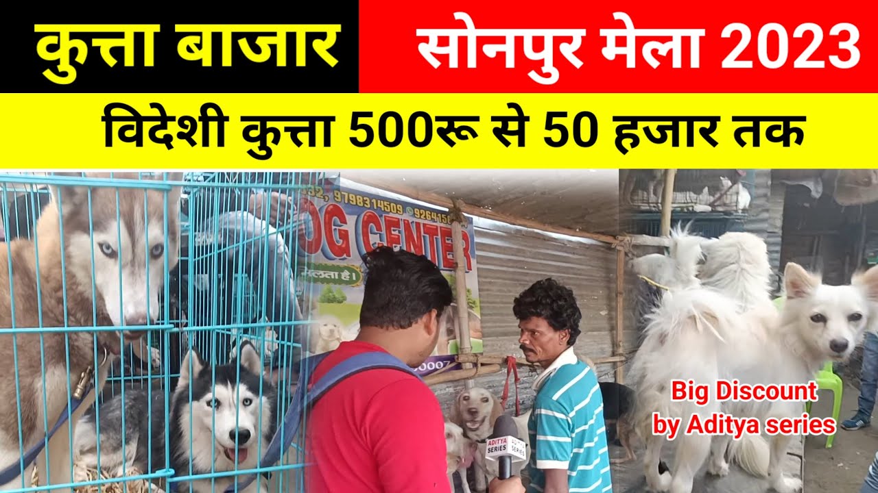 Sonpur Mela Full Video Dog Market Chidiya Bajar Sonpur Mela 2023