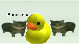 This Is A Bonus Duck