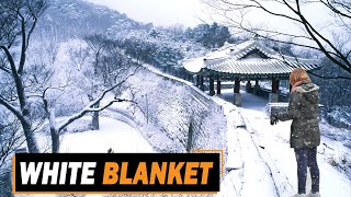 Heavy snowfall blankets South Korea