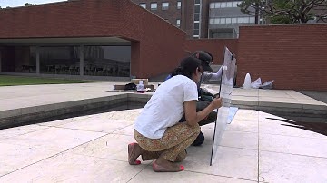 apmap 2015 yongin researcher