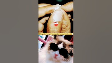 🙈😎 only genius people can see the correct number!!! #shorts #cat #challenge #bombastic #trending