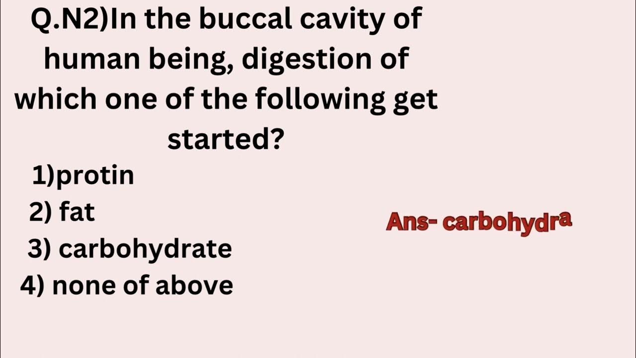 Mcqs for digestive system digestive system nursingknowledge8876