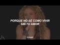 Shakira  antologia letra en vivo desde el dorado world tour