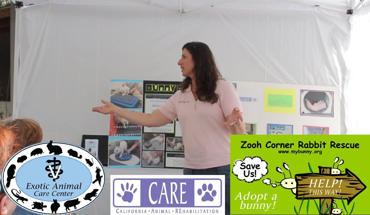 Elderly & Disabled Rabbits 3 - CARE Overview - YouTube