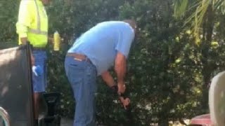 Pool paint problem fixed