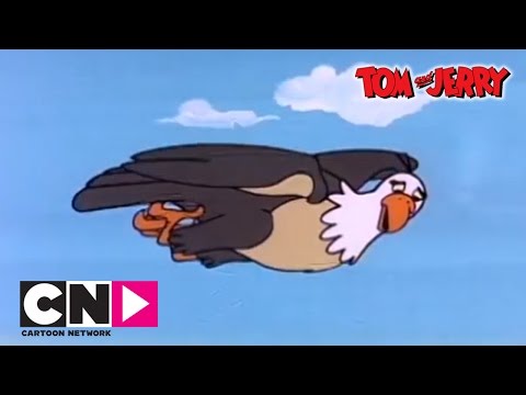 Egg and Tom & Jerry | Tom & Jerry | Cartoon Network