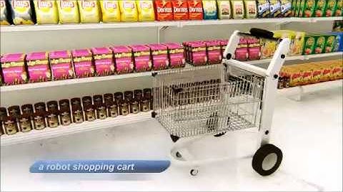 Mule Model B - a robotic shopping cart