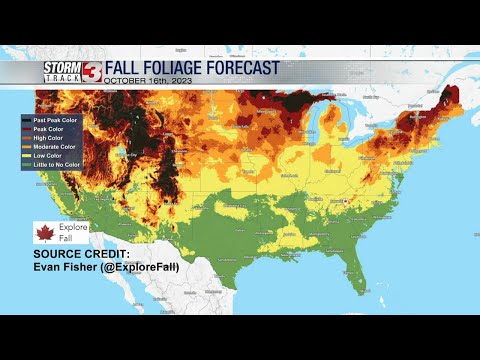 Wsiltv Weather