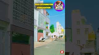 #Bhag Arjun bhag 🏃‍♂️🏃‍♂️ #shorts #youtubeshorts #shortsfeed #viralshort #viralvideo
