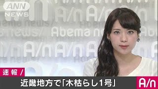 近畿地方で木枯らし1号　去年より4日遅い　気象庁(16/10/29)