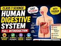 Human Digestive System Class 7 | Full Introduction | Food, Nutrients & Nutrition Explained + Diagram