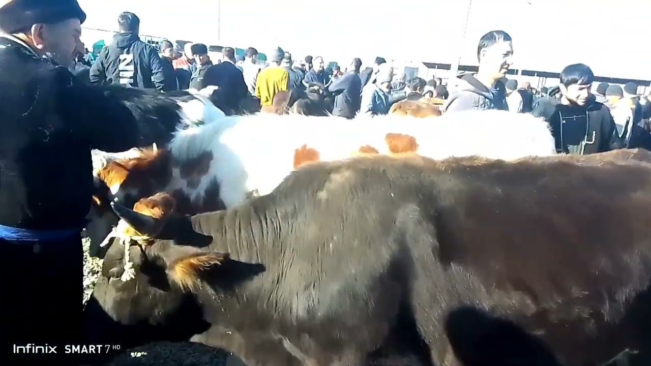 Молбозори Пахтаобод 22 02 26 