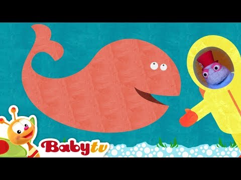 Funny Kids Video Of Animals, Cars And Music | 1 Hour Compilation | BabyTV