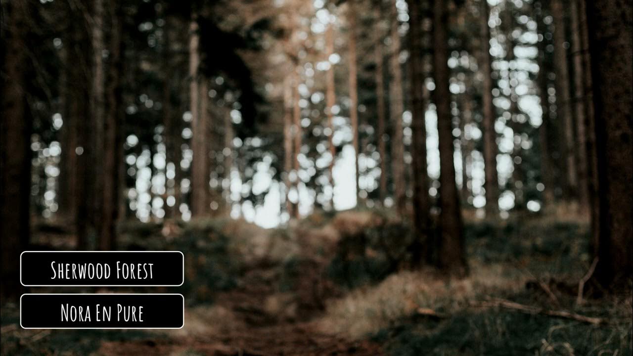 Nora En Pure - Sherwood Forest Nora En Pure - Sherwood Forest