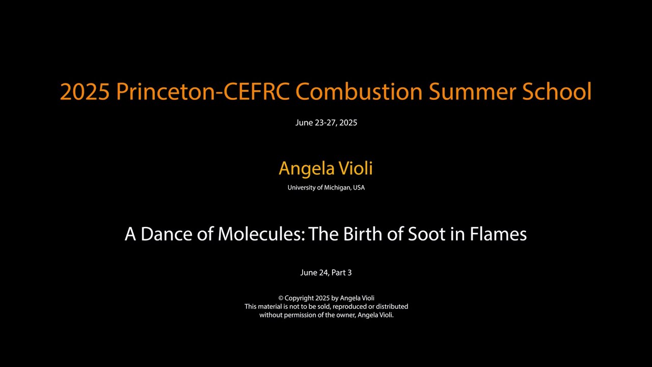 A Dance of Molecules: The Birth of Soot in Flames, Angela Violi, Day 2 Part 3