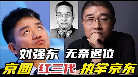 刘强东拱手将京东交给 大院子弟，新任ceo徐雷 身世成谜，幕后辅佐东哥多年【特伦哥.特能说】 - 天天要闻