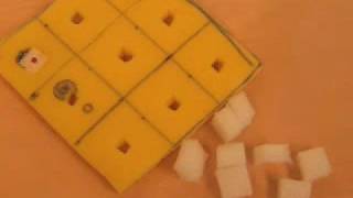Tic Tac Toy