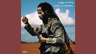 Ziggy Marley - Justice - War (Live)