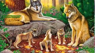 Animal Diamond Painting