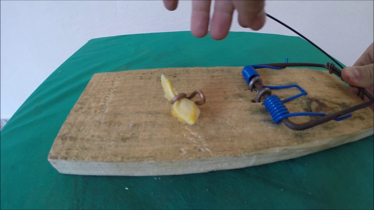 Ручной мышеловке.