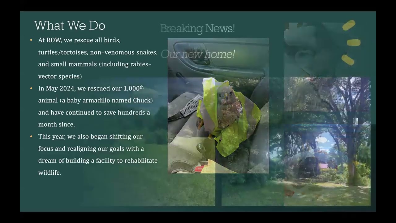 “A Day in the Life of a Rehabber…”