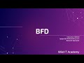 BFD | CCNP ENARSI 300-410 | Wild IT Academy