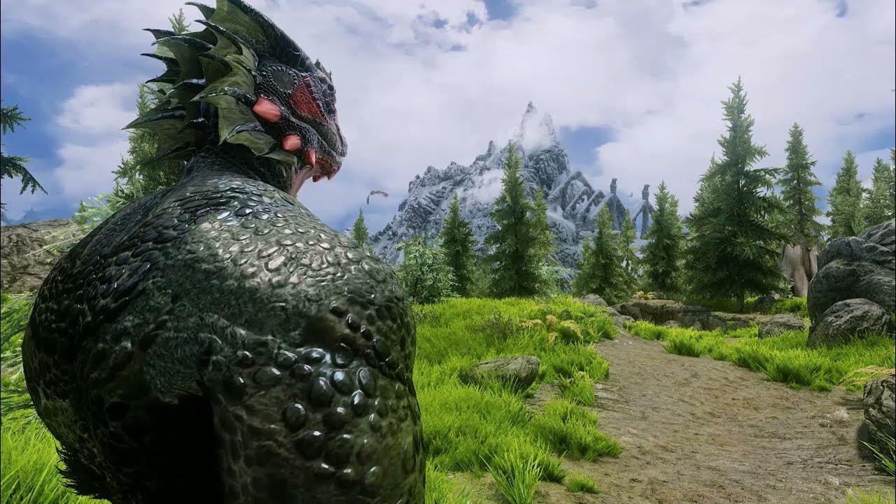 3 must have Argonian mods Skyrim LE YouTube