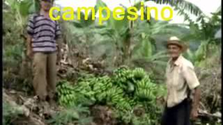 Video Campesino de mi tierra Tania