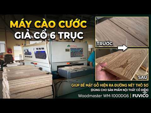 WM-1000DG6 | Máy Cào Cước Giả Cổ 6 Trục - Giúp Bề Mặt Gỗ Hiện Ra Đường Nét Thô Sơ - WOODMASTER