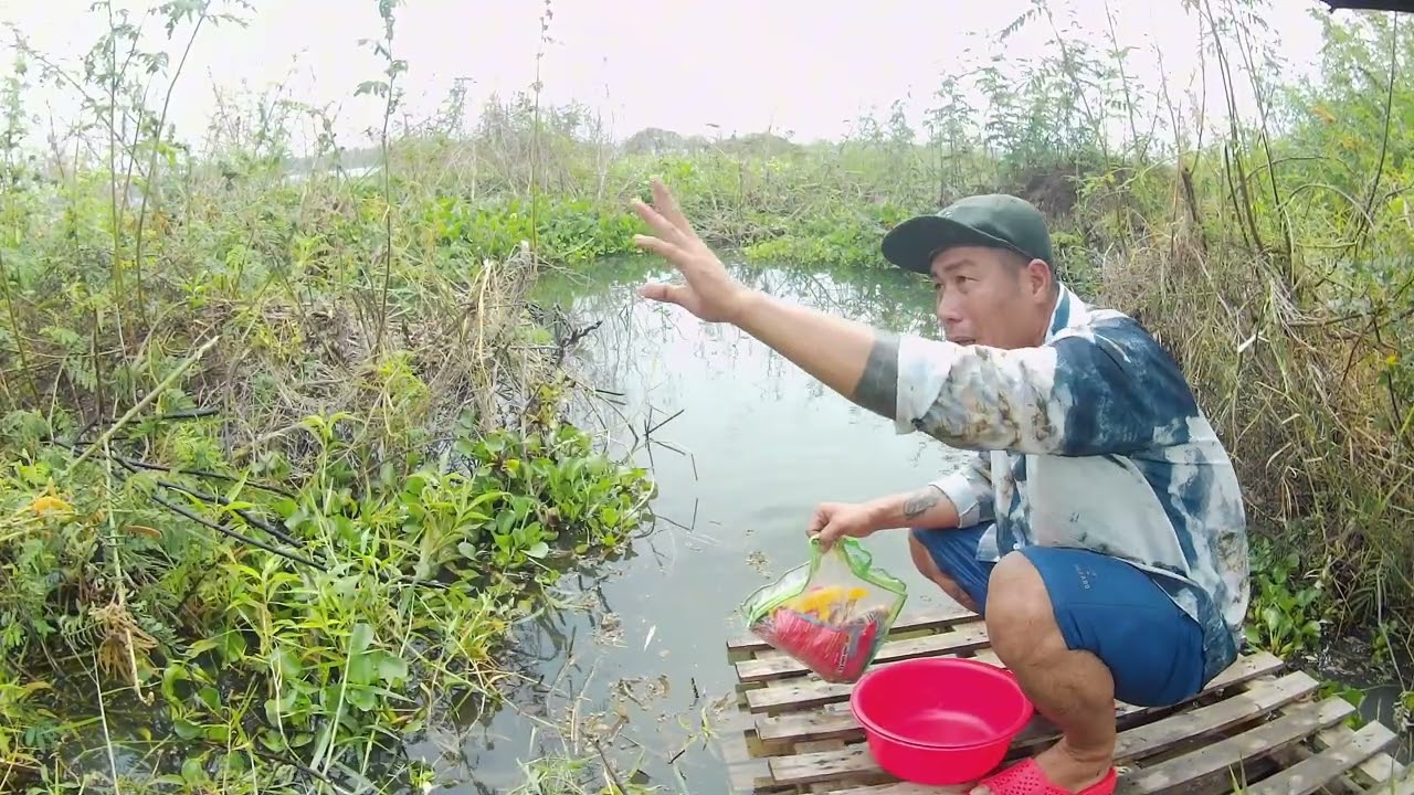 Quay về nơi cái palet quá khứ của thầy lỏ tìm điểm săn chép