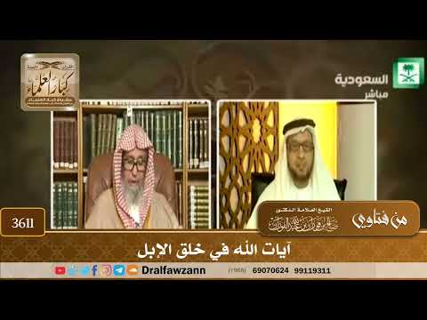 [3611] آيات الله في خلق الإبل - صالح الفوزان