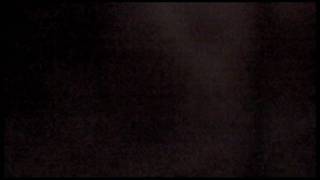 Buffalo Stampede - Buffalo Stampede
