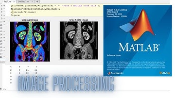 Image Processing | RGB To Gray Scale Image Conversion In MATLAB