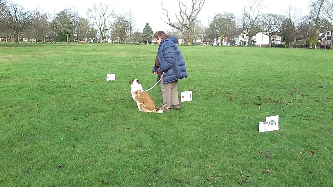 Angie Tucker and Arwen Level 2 Dec2021Tiebreak