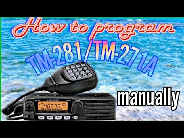 TM-281 Manual Programming|TM-271A class=