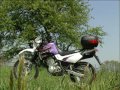 Comprala usata: Yamaha XT 600 E